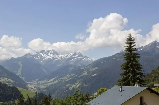Süit