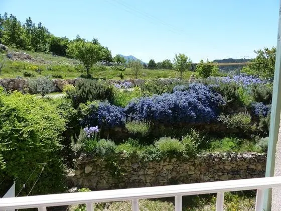 Comfort Tek Büyük veya İki Ayrı Yataklı Oda