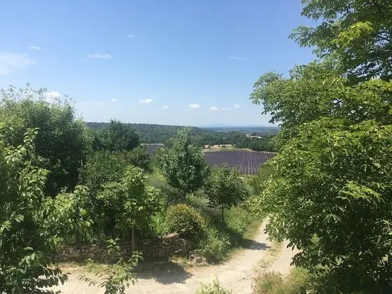 Dört Kişilik Oda
