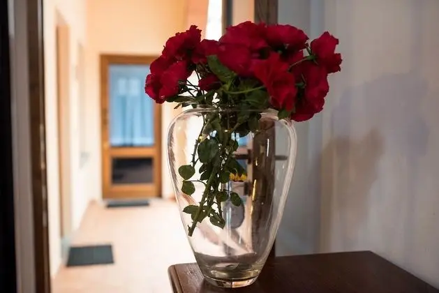 Traditional Apart Daire, 1 Çift Kişilik Yatak ve Çekyat