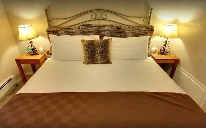 Deluxe Çatı Katı Süiti (Penthouse), 1 Yatak Odası, Sigara İçilmez