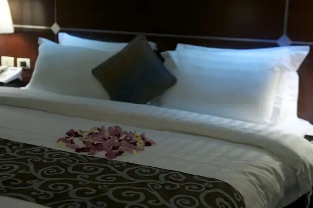 Süit