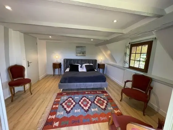 Superior Tek Büyük Yataklı Oda