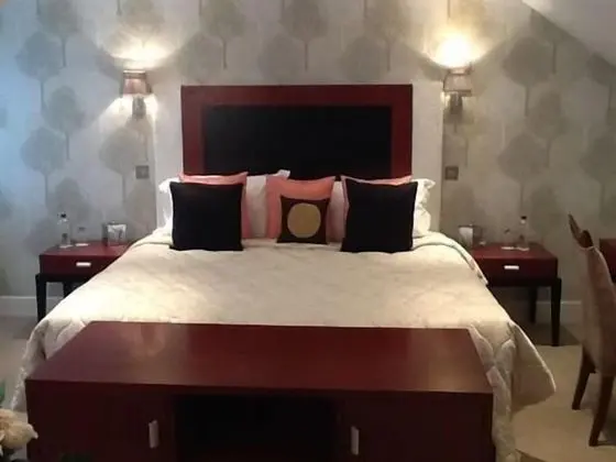 Superior Tek Büyük Yataklı Oda, Banyolu/Duşlu (Wilson)