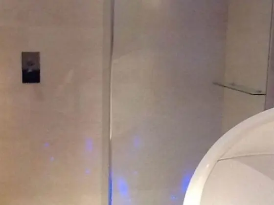 Superior Tek Büyük Yataklı Oda, Banyolu/Duşlu (Wilson)