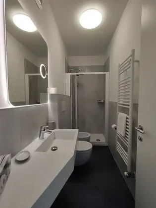 Deluxe Tek Büyük Yataklı Oda, Teras, Göl Manzaralı
