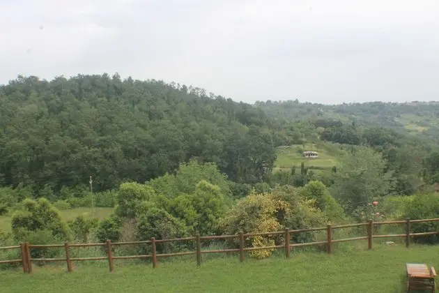 Deluxe Tek Büyük Yataklı Oda, Tepe Manzaralı (Ganimede)