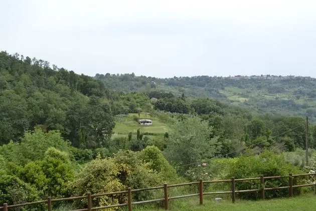 Tek Büyük Yataklı Oda, 1 Çift Kişilik Yatak, Teras (Europa)