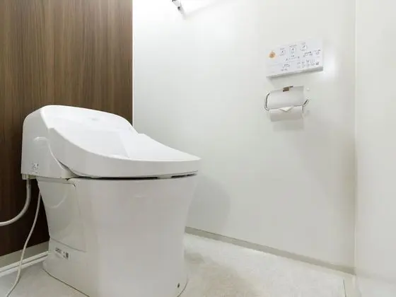 Deluxe İki Ayrı Yataklı Oda, Sigara İçilmez