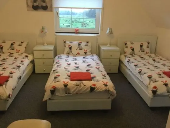 Deluxe Dağ Evi, 4 Yatak Odası, Sigara İçilmez, Sıcak Su Havuzu (The Party Lodge)
