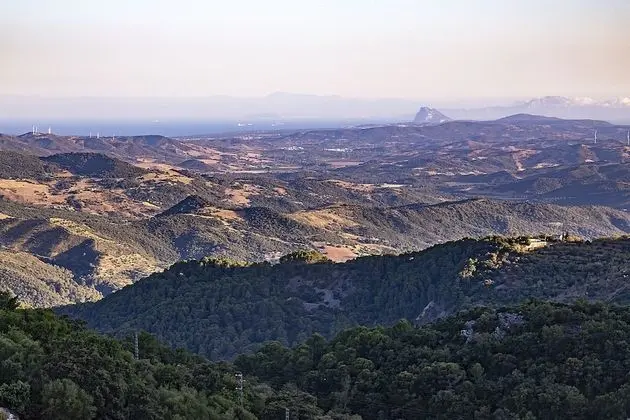 Tek Büyük Yataklı Oda (Almendros)