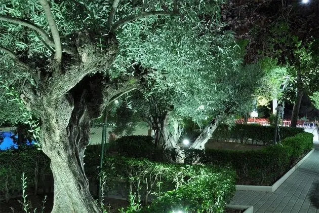 Tek Büyük Yataklı Oda, Teras