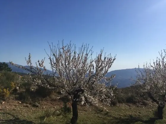 İki Ayrı Yataklı Oda, Sigara İçilmez
