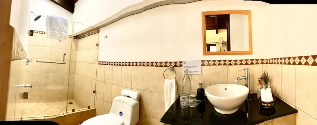 Deluxe Tek Büyük Yataklı Oda, 1 Büyük (Queen) Boy Yatak (2,8 y 9)