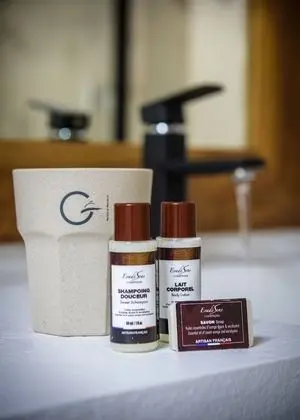 Superior Tek Büyük Yataklı Oda, Avlu Manzaralı