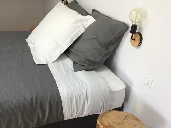 Tek Büyük Yataklı Oda, Banyolu/Duşlu (CHAMBRE 1)