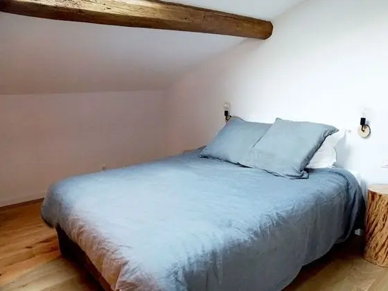 Tek Büyük Yataklı Oda, Banyolu/Duşlu (CHAMBRE 2)