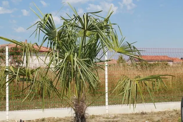 Tek Büyük Yataklı Oda (L'entre deux mers)