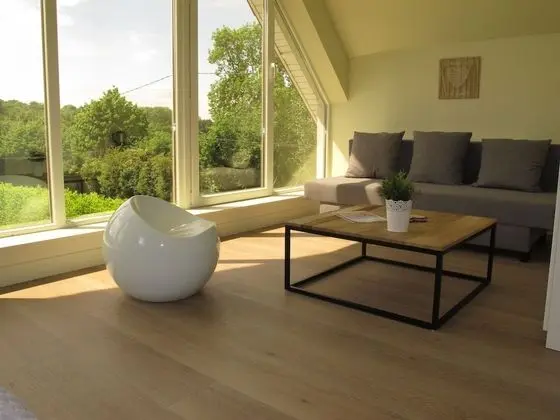 Superior Tek Büyük veya İki Ayrı Yataklı Oda, Özel Banyo (Chambre au Bois Dormant)