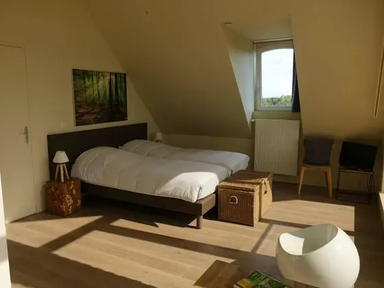 Superior Tek Büyük veya İki Ayrı Yataklı Oda, Özel Banyo (Chambre au Bois Dormant)