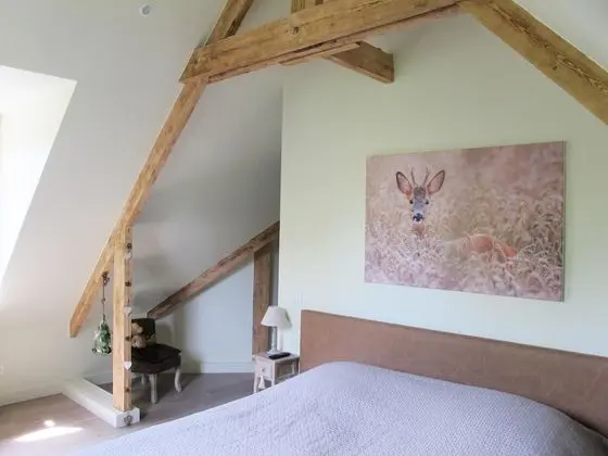 Tek Büyük veya İki Ayrı Yataklı Oda, Özel Banyo (Les Daims)