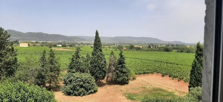 Süit (Cabernet-Syrah)