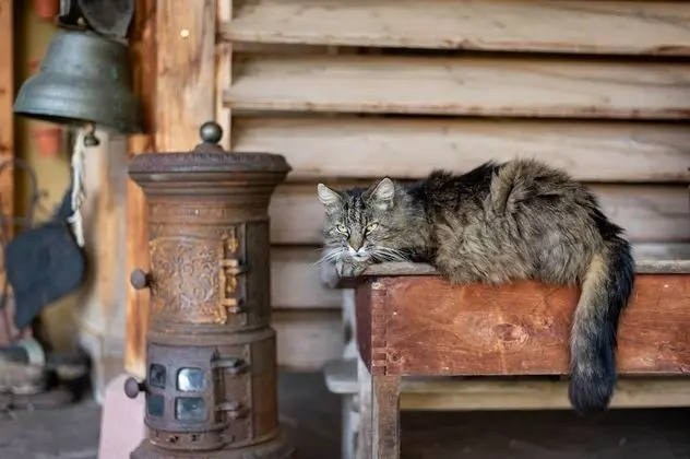 Exclusive Kır Evi, Banyolu/Duşlu, Dağ Manzaralı (**** étoiles)