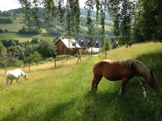 Exclusive Kır Evi, Banyolu/Duşlu, Dağ Manzaralı (**** étoiles)