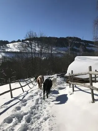 Exclusive Kır Evi, Banyolu/Duşlu, Dağ Manzaralı (**** étoiles)