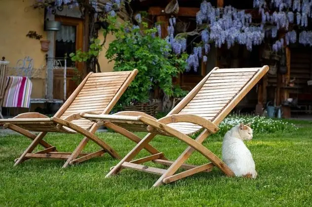 Exclusive Tek Büyük Yataklı Oda, Banyolu/Duşlu, Dağ Manzaralı (Suite de charme)