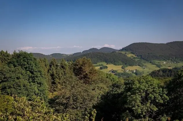 Exclusive Tek Büyük Yataklı Oda, Banyolu/Duşlu, Dağ Manzaralı (Suite de charme)