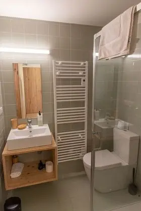 Deluxe Tek Büyük veya İki Ayrı Yataklı Oda, Banyolu/Duşlu