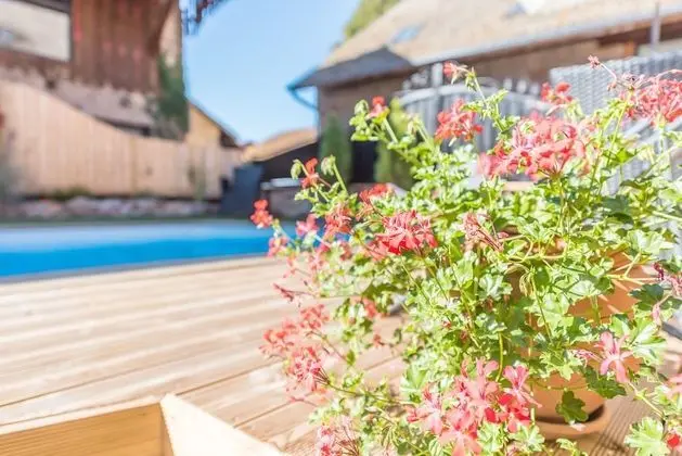 Family Kır Evi, Özel Banyo, Avlu Manzaralı (SPA & Sauna)