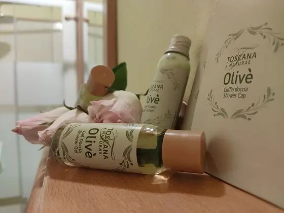 Süit (Michelangelo)