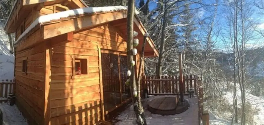 Kulübe (Charlotte)