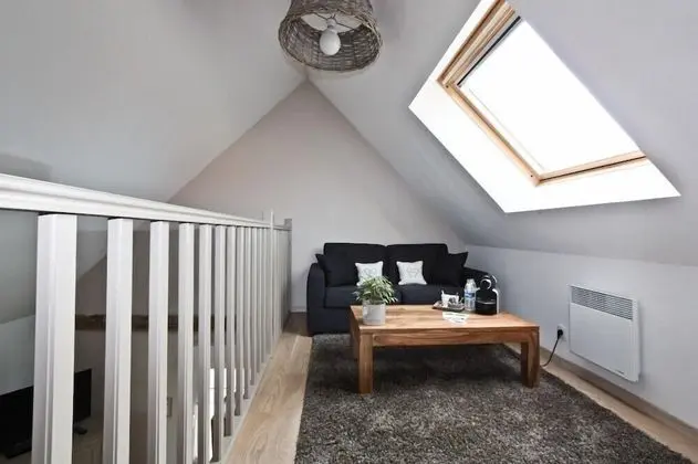 Superior Tek Büyük Yataklı Oda (Mezzanine and sofabed)