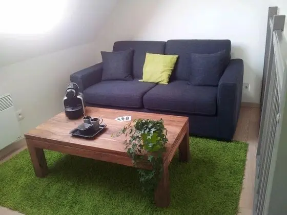 Superior Tek Büyük Yataklı Oda (Mezzanine and sofabed)