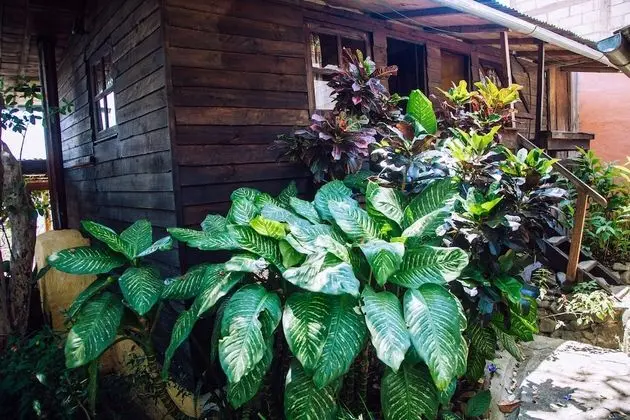 Basic Tek Kişilik Oda, 1 Tek Kişilik Yatak