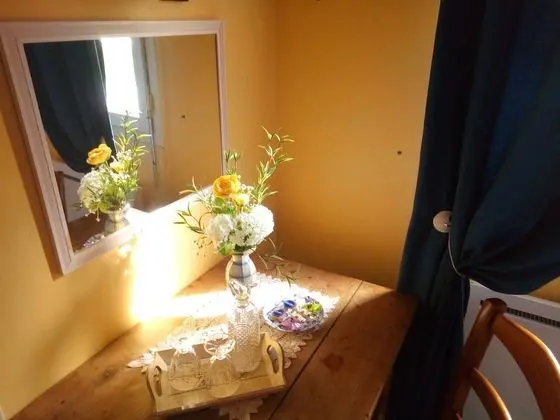 Tek Büyük veya İki Ayrı Yataklı Oda, Banyolu/Duşlu, Bahçe Manzaralı (Chambre " Rétro ")