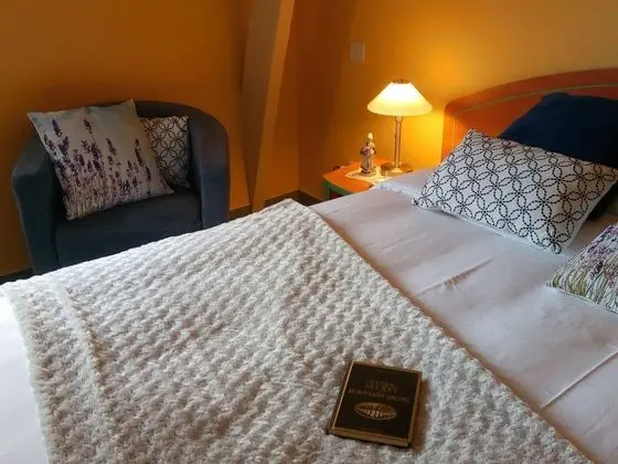 Tek Büyük veya İki Ayrı Yataklı Oda, Banyolu/Duşlu, Bahçe Manzaralı (Chambre " Rétro ")