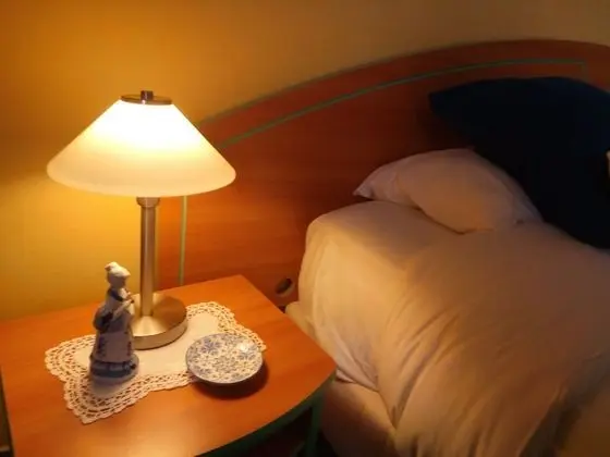 Tek Büyük veya İki Ayrı Yataklı Oda, Banyolu/Duşlu, Bahçe Manzaralı (Chambre " Rétro ")