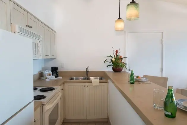 Deluxe Oda, 1 En Büyük (King) Boy Yatak, Okyanus Manzaralı (Beachfront View with Kitchenette)