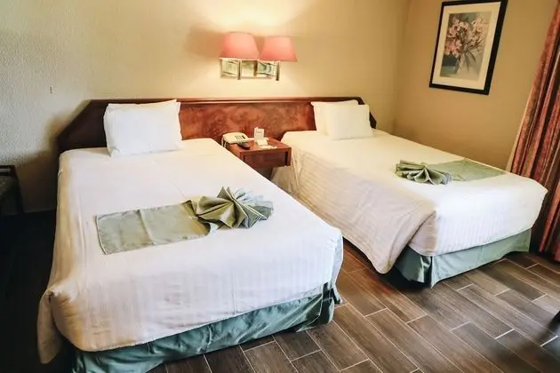 Deluxe Tek Büyük Yataklı Oda, 2 Çift Kişilik Yatak