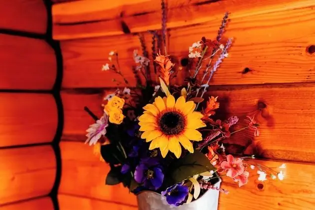 Two-Room Rustic Cabin - Yellow