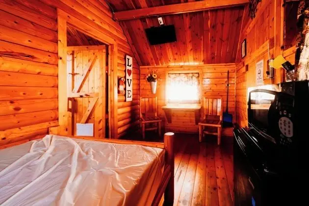 Two-Room Rustic Cabin - Yellow