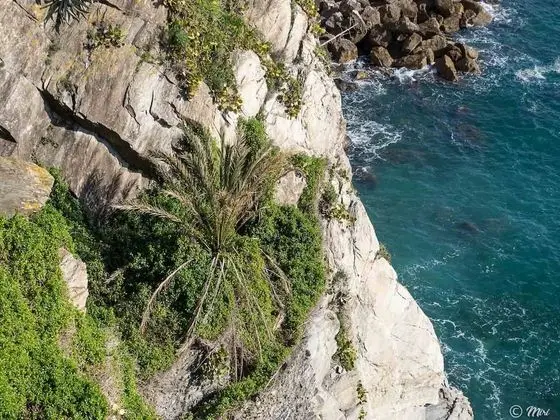 Apart Daire, 2 Yatak Odası, Deniz Manzaralı