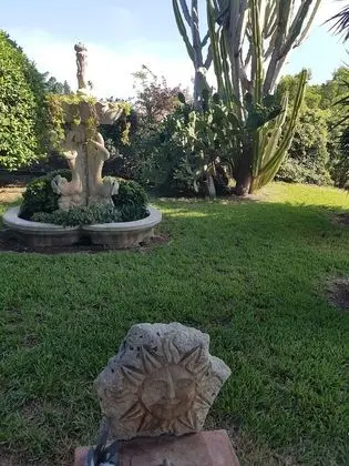 Ev, 1 Yatak Odası, Veranda