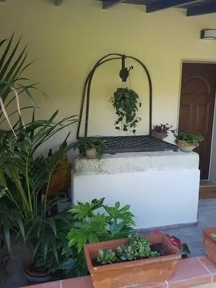 Ev, 1 Yatak Odası, Veranda
