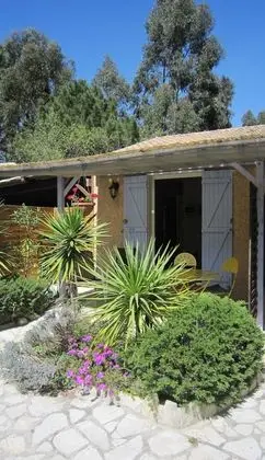 Superior Apart Daire (1)