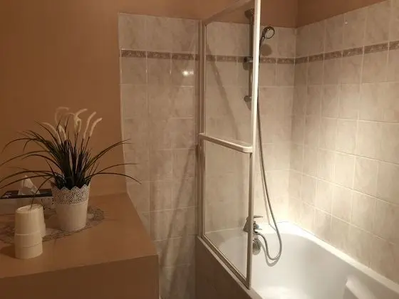 Traditional Üç Kişilik Oda (Saumon)